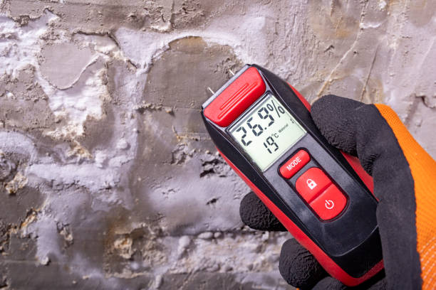 Best Asbestos and Lead Testing During Mold Inspection  in Plainview, NY